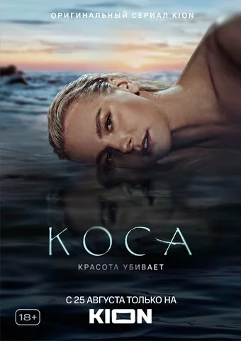 Коса постер